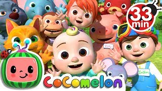 My Name Song  More Nursery Rhymes amp Kids Songs  CoComelon [upl. by Ardella]