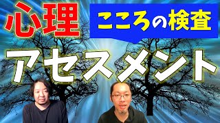 【心理学】心理アセスメントとは？【心理検査】 [upl. by Otte455]