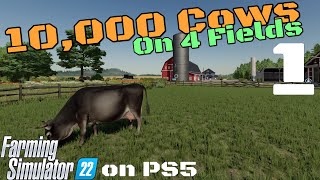 Lets play 10000 Cows on 4 Fields 1  FS22 on console [upl. by Gabrielli]