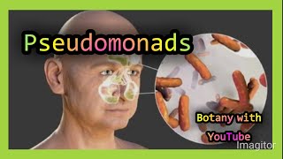 Pseudomonas botanywithyoutube botany english [upl. by Aleemaj]