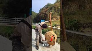 Man discovers valuable wasp nest near his home 😮 [upl. by Vonnie818]