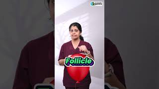 What Is Follicular study  ஃபோலிகுலர் Study என்றால் என்ன [upl. by Yeung]