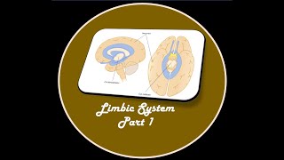 LIMBIC SYSTEM PART 1 [upl. by Dorry]