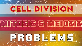 Cell division  Mitosis and Meiosis  Problems [upl. by Idnyl]