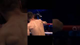 Artur Beterbiev vs Dmitry Bivol Fight [upl. by Zeb]