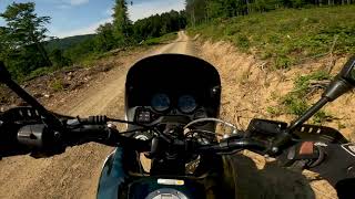 Aprilia Pegaso 650 Off road fun Pure Sound Gravel [upl. by Casavant430]