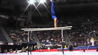 Alexander Naddour  Parallel Bars  2013 PampG Championships  Sr Men  Day 1 [upl. by Kasevich]