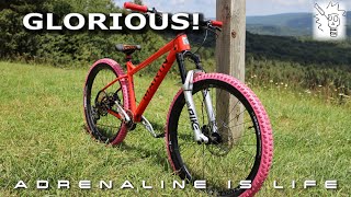 My Hardtail Dream Build is the Ultimate Hardtail  My Custom Hardtail MTB Build [upl. by Tempa]