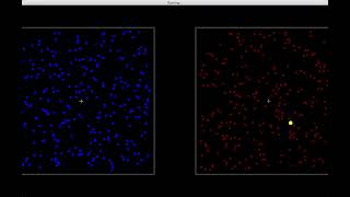 Binocular Rivalry Demo [upl. by Elad]