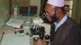 Malaria rapid diagnostic tests to improve treatment in Afghanistan [upl. by Niven]