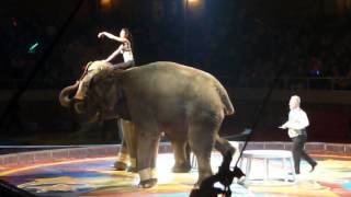 Shriners Circus LaPorte Civic Auditorium Video 5 [upl. by Gnilrac114]