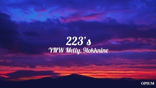 ynw melly  223’s feat 9lokknine lyrics [upl. by Ecinue]