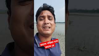 ফান্দে পড়িয়া বগা কান্দে রে obelamusic song bicchedgaan viralshorts viralsong viralvideo [upl. by Airitac106]