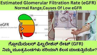 GFR TEST IN KANNADA eGFR NORMAL RANGECAUSES OF LOW GLOMERULAR FILTRATION RATE AND TRAETMENT [upl. by Zoeller555]