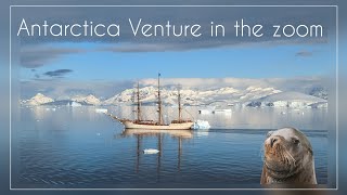 Antarctica expedition venture in the zoom [upl. by Pokorny]