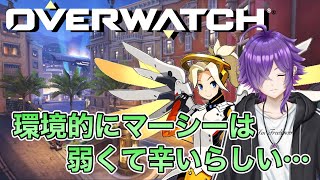 【OW2】友人とOW2！！！ [upl. by Rory132]