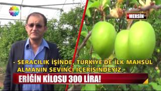 Eriğin kilosu 300 lira [upl. by Redmund360]