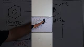 How to convert BENZENE to ANILINE chemistry organicchemistry [upl. by Minica]