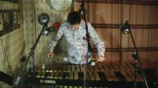 Johann Jacob FROBERGER Toccata II D minor FbWV 102 Performed by Yan Snimschikov vibraphone [upl. by Nosna]