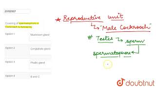 Covering of spermatophore in Cockroach is formed by [upl. by Browning]