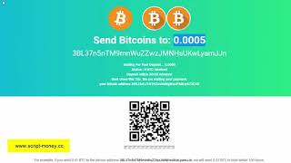 Script php Double your Bitcoins 24 hours Create your bitcoin doubler 2021 [upl. by Ashraf705]