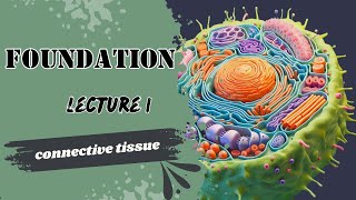 Connective Tissue 1 [upl. by Anivol]