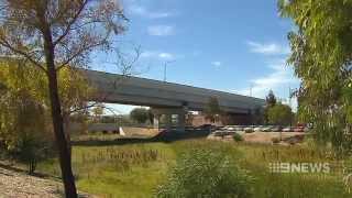 Mawson Lakes Predator  9 News Adelaide [upl. by Saberio233]