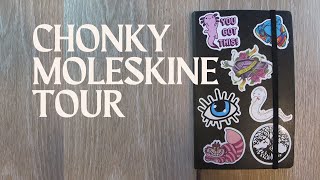 Chubby Moleskine ArtPlus Sketchbook Tour [upl. by Rosenstein]