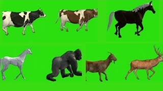 Animals stampede Crossover 🦒 🦒 🦒Animal RaceCrazy Cartoon Animals 3D 👋 👋 👋 [upl. by Hijoung]