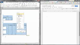 SPSS Output to gDocs [upl. by Harbed]