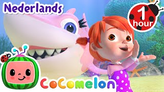 Babyhaai  CoComelon Nederlands  Kinderliedjes [upl. by Laynad999]