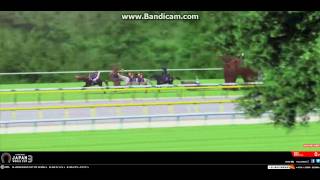 Japan World Cup 3 JRA ハリボテエレジー勝利 [upl. by Negem]