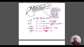 Endocrinology Diabetes L2 part 1 BY DR ANTONIUS [upl. by Almallah598]