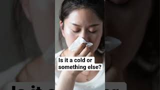 What are the symptoms of the common cold Visit the description for more information [upl. by Cresida788]