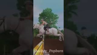 3 shortsfeed edit horsey sso horse starstableedit starstable [upl. by Zile438]