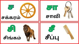 உயிர்மெய் எழுத்துக்கள்ச சா சி சீ வரிசை சொற்கள்sa saa se see  kidswithfunlearning [upl. by Ardeed]