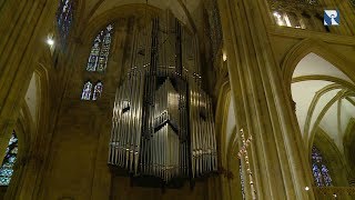 Größte freihängende Orgel der Welt  Domorgel in Regensburg [upl. by Horvitz]