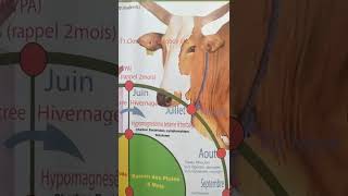 Programme de prophylaxie des ruminants au Mali [upl. by Ellecrad]