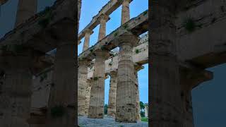 The GrecoRoman archaeological city of Paestum Italy history ancientrome ancientroman paestum [upl. by Torrence]