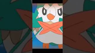 Rowlet vs Braviary Rowlet battle  Alolan finale Rowlet battle  PokÃ©mon Sun and moon  anime amv [upl. by Ameerahs384]