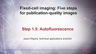 15 Autofluorescence–Fixed cell imaging 5 steps for publicationquality images [upl. by Farhsa]