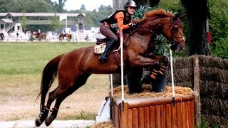 Queeny du Riez  Championnats de France dÉquitation 2016  Lamotte Beuvron  CCE Club 2 [upl. by Sidnala]