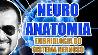 Embriologia do Sistema Nervoso Central e Periférico  Neuroanatomia  VideoAula 069 [upl. by Htebi996]