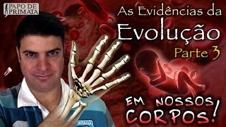 As Evidências da Evolução 3  Em nossos corpos [upl. by Shoshanna]