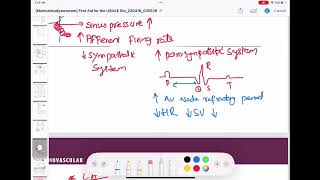 Baroreceptor reflex cardiology 48 First Aid USMLE Step 1 in UrduHindi [upl. by Aimee328]