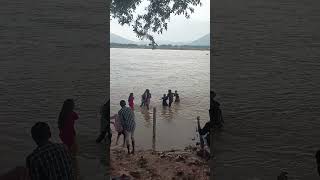 Nandhalur river near rajampet 03122024 water పెరిగాయి [upl. by Adur442]