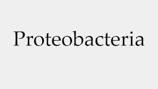 How to Pronounce Proteobacteria [upl. by Wendalyn374]