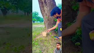 abcvlogs9627 diwali comedy funny shortfeed shorts ytshorts [upl. by Verlee]