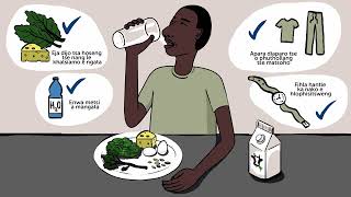 What is Leukapheresis Sesotho [upl. by Modesty966]