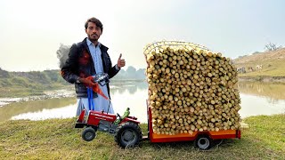 mf 385 tractor power test  handmade mini mf tractor  sugarcane trolley video  Nadeem Gola [upl. by Iror]